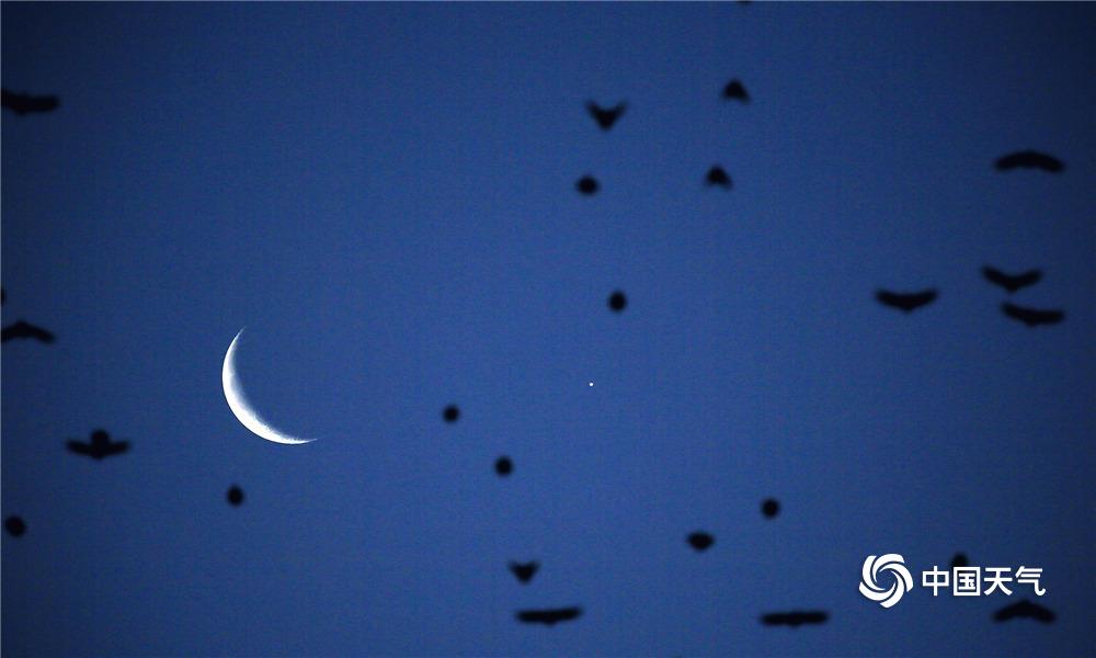 螞蟻莊園兔子 螞蟻莊園今天答案兔子[多圖]