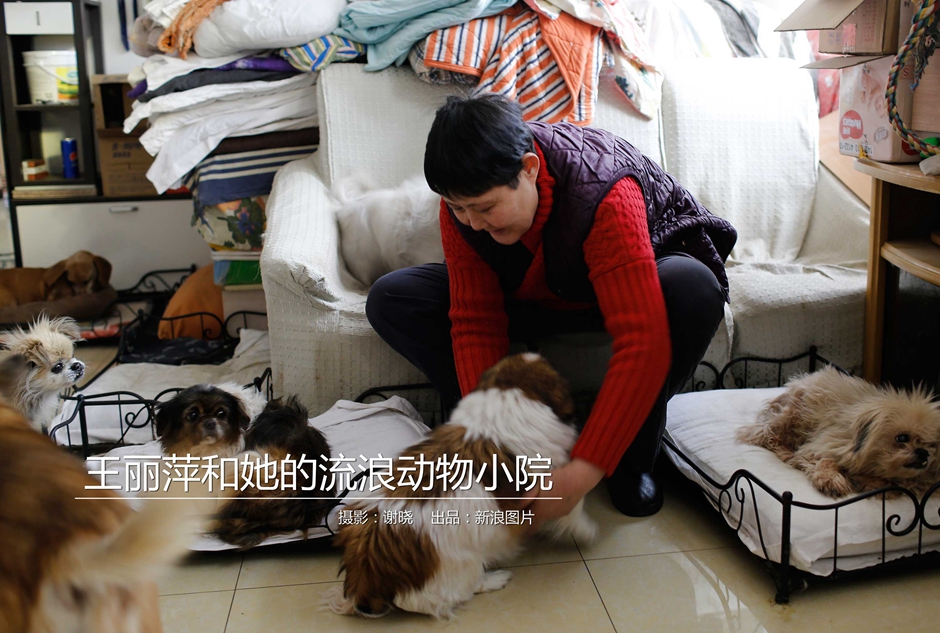 中國游泳隊公布福岡世錦賽名單