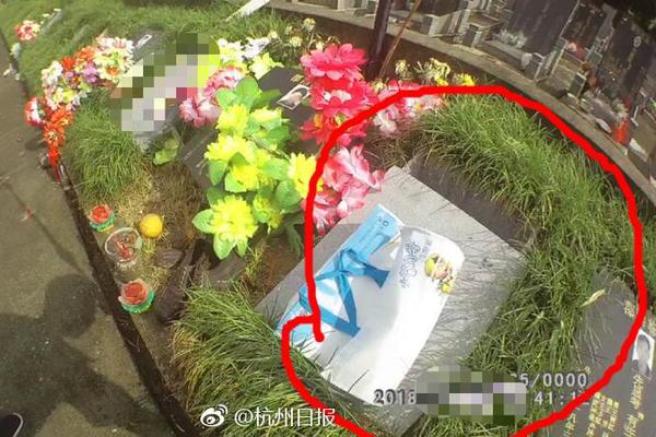 美人卡牌養(yǎng)成類(lèi)手游引薦 養(yǎng)成美少女戰(zhàn)隊(duì)