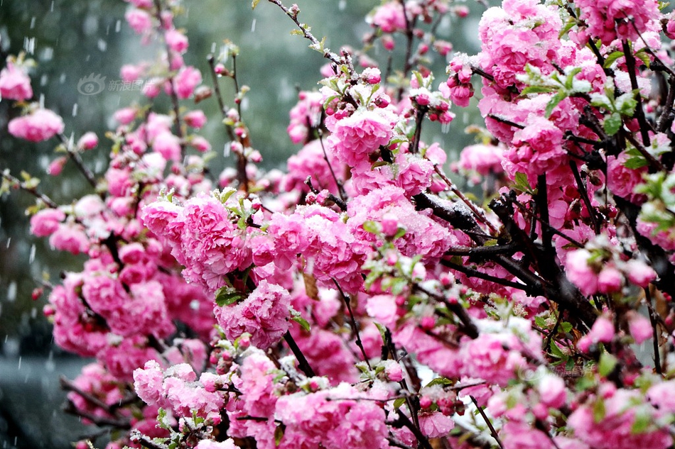 微軟新補(bǔ)丁Windows XP SP2安全功用面面觀