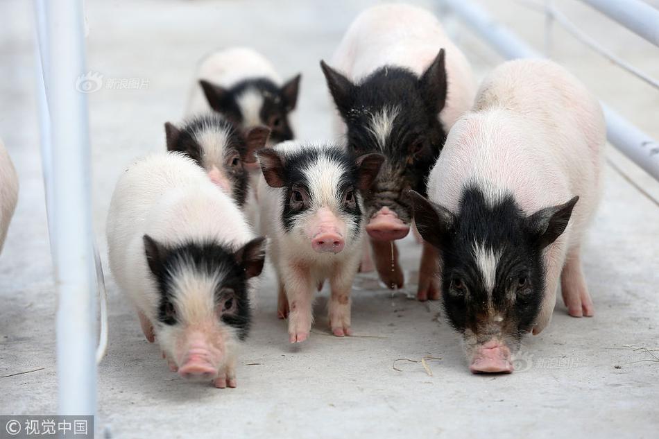 為“生命的綻放“喝彩，和盼盼食品相約冬殘奧會