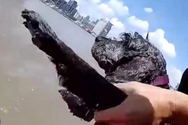 洞見新趨勢(shì)，共創(chuàng)新圖景——車鴿攜手宏盟市場(chǎng)迸發(fā)行業(yè)新火花