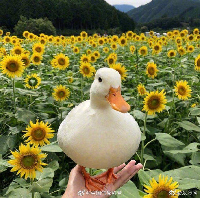 《洛奇英雄傳：永恒》曙光測(cè)試收官