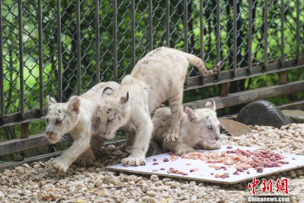 6 極品芝麻官新版本 角色扮演