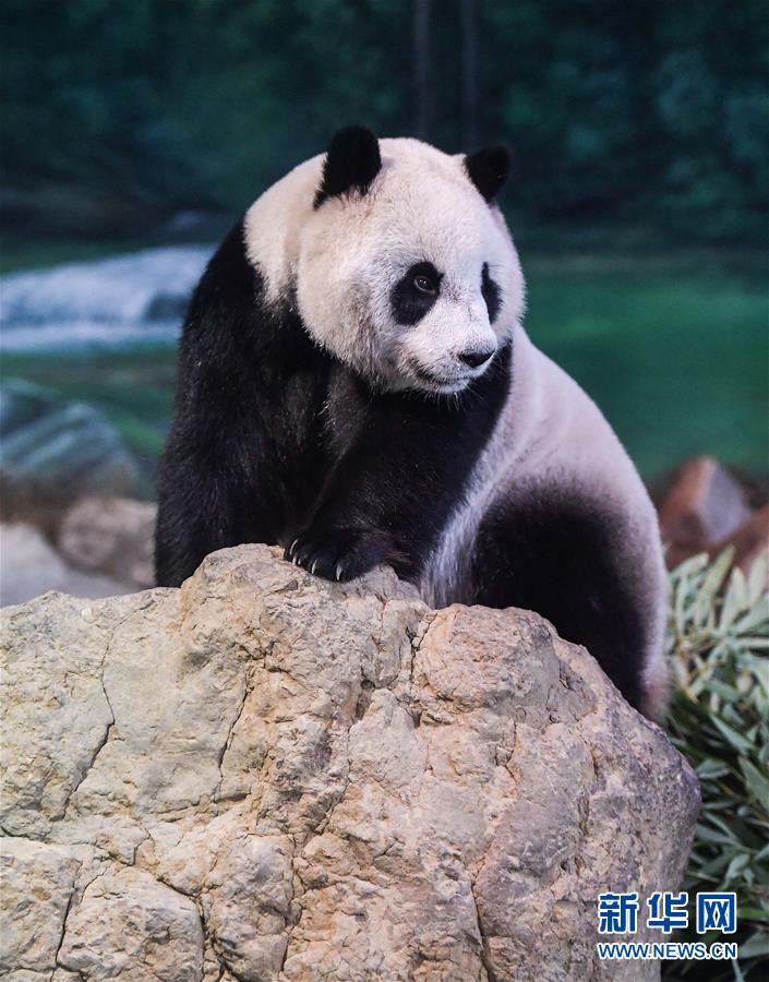 牛！杜蘭特兩輪系列賽即加冕籃網(wǎng)隊(duì)史單次季后賽得分王