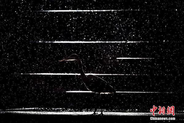 與異形戰(zhàn)斗《艾森霍恩：異形審判官》上架