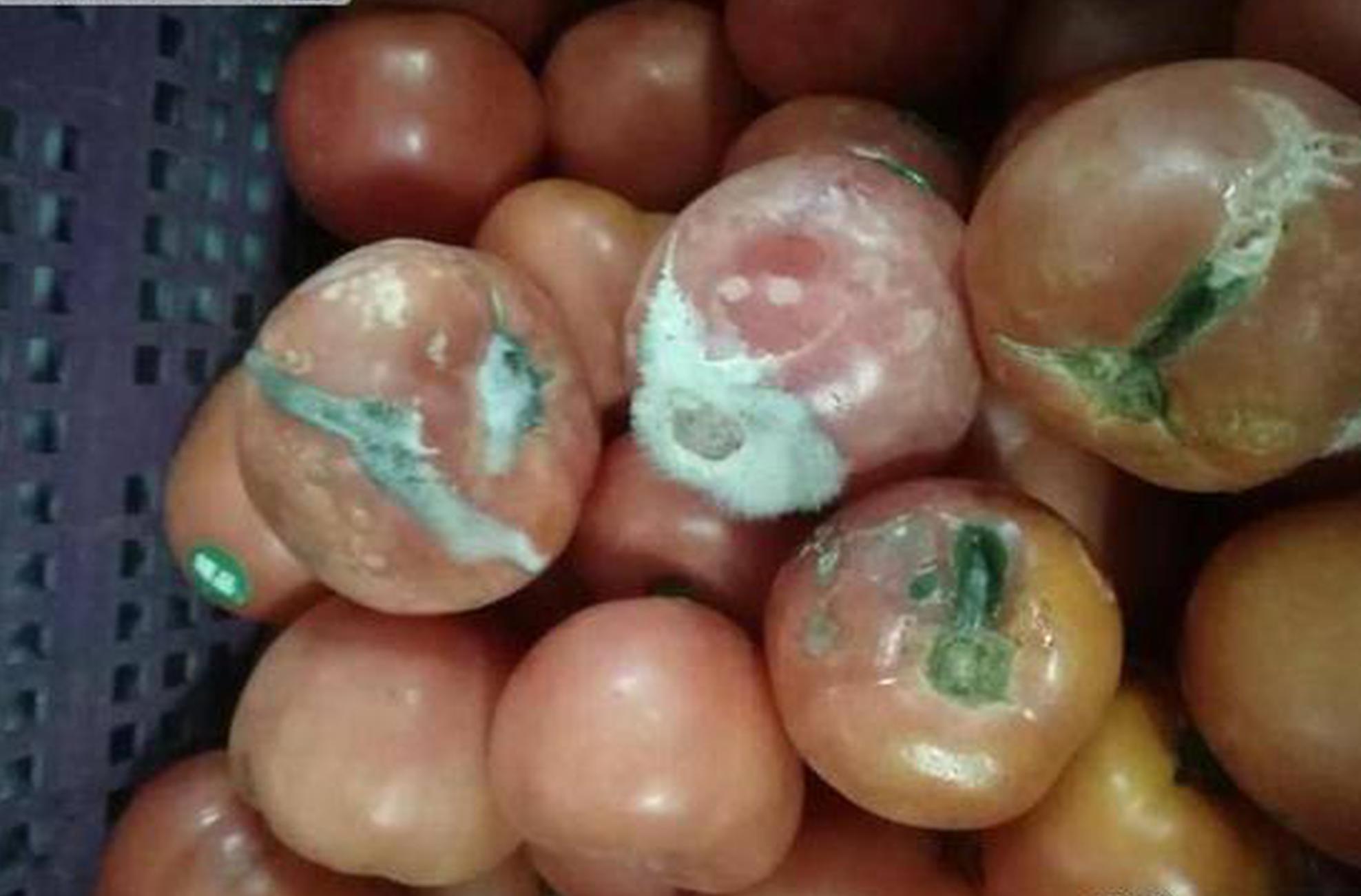 《我的世界》推PSV版本？向低年齡層延伸