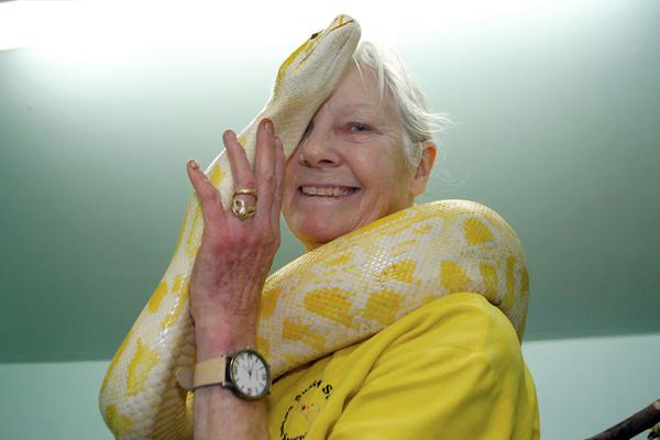 7 永恒紀(jì)元安卓版 角色扮演