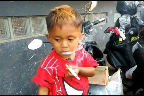 2021年數(shù)出人意料時(shí)間表全年圖 2020年