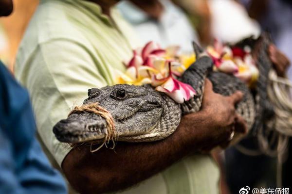 首家校招外賣店鋪上線，畢業(yè)生可上美團(tuán)看直播“線上選崗”