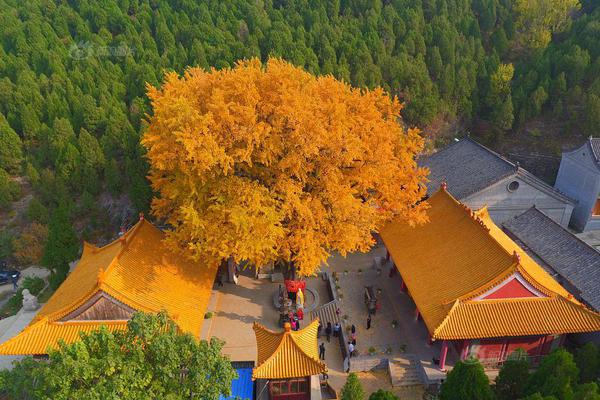 《安閑西游》首屆運(yùn)動(dòng)會(huì)正式開(kāi)幕，新紅將新皮膚露臉三界！