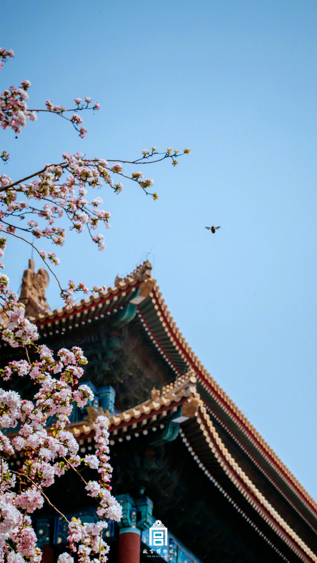 原神必勝客網(wǎng)絡(luò)反常怎樣處理 必勝客聯(lián)動(dòng)網(wǎng)絡(luò)反常處理方法[多圖]