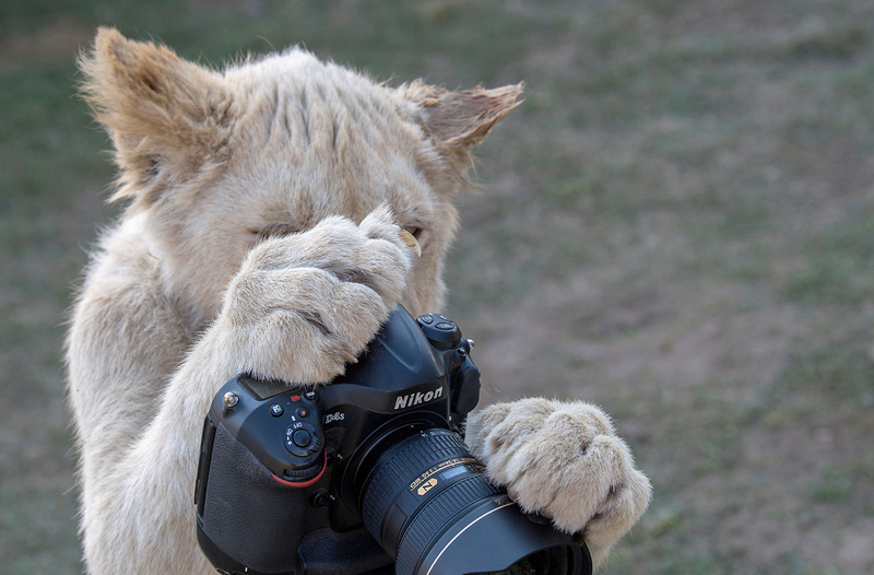 2022好玩的仙俠3D動作手游引薦 仙俠冒險之旅