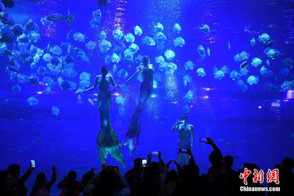 慶祝《LoveLive！學(xué)園偶像祭》全國(guó)大會(huì)開催