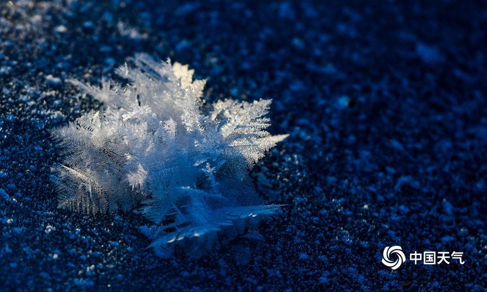 手機(jī)第一人稱單機(jī)游戲引薦 單機(jī)視角轉(zhuǎn)接