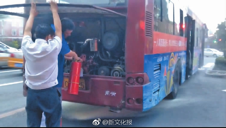 卡塔爾世界杯：日本點球憾負 韓國半場崩盤【組圖】