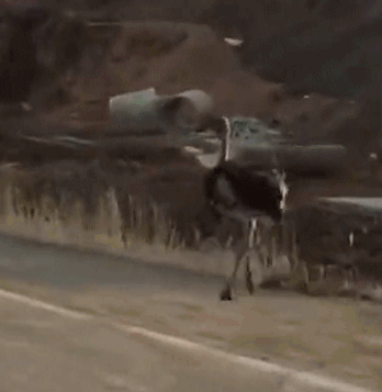 最新世界電子游戲名人堂候選名單出爐，你覺得還漏了哪款？