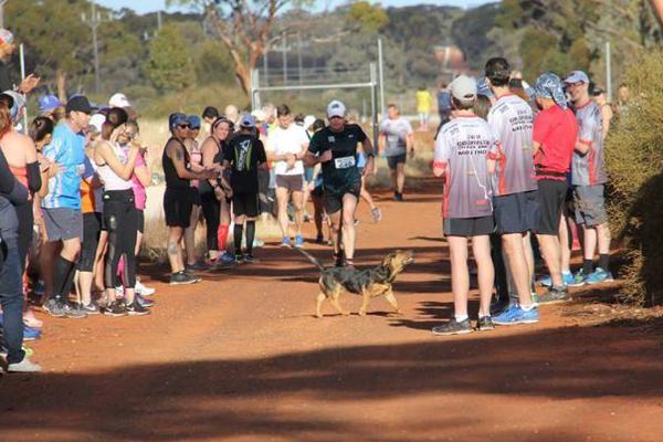qq郵箱怎樣發(fā)送文件夾 qq郵箱發(fā)送文件夾辦法