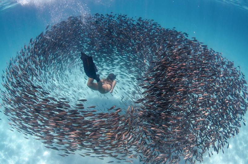 賽車競速加入戰(zhàn)斗元素 《戰(zhàn)斗汽車》已上架