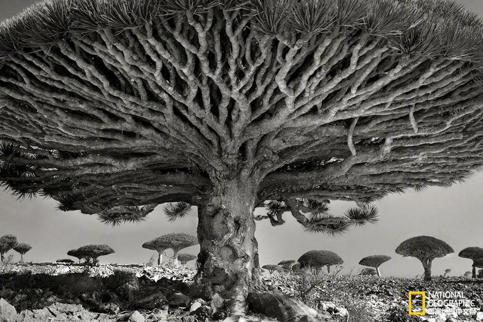 詹姆斯：我一貫自覺(jué)得是前史最佳球員，但我會(huì)讓我們自己做挑選