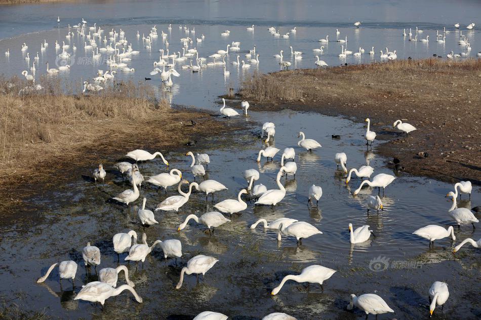 內(nèi)存小又好玩的游戲引薦 休閑養(yǎng)成游戲