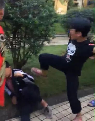 簡略兩招教你辨別真假小白一鍵重裝系統(tǒng)