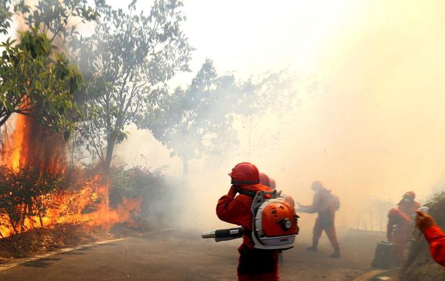 熱血鏢車大作戰(zhàn) 《傳世掛機(jī)》跨服運(yùn)鏢將開啟
