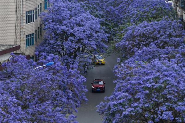 大型射擊游戲手機(jī)版排行榜引薦 射擊全兵器系列