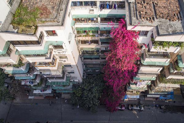 手機可聯(lián)機的生計手游引薦 組隊打喪尸