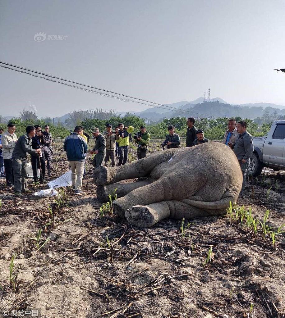 魔術(shù)師：明年詹姆斯依舊是聯(lián)盟第一人