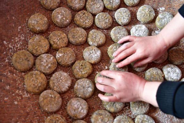 告知我們Windows2000不能葉落歸根的解決方案