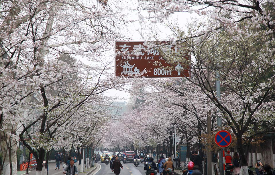 湖南省公示科技創(chuàng)新計(jì)劃項(xiàng)目（第五批）驗(yàn)收結(jié)果