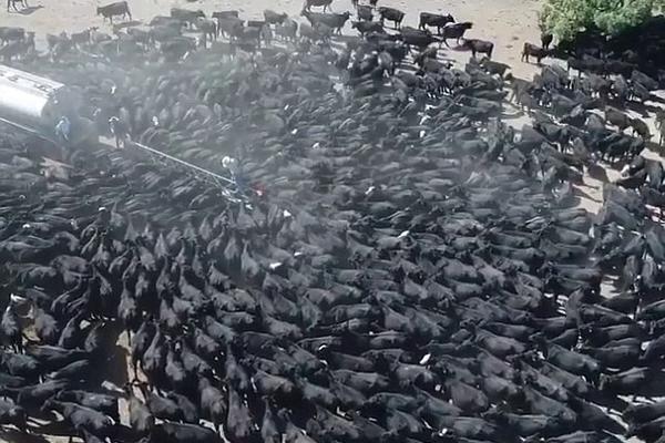 《星盟沖突》玩家攻略征集活動今日開啟