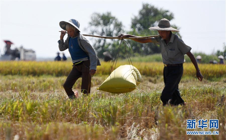 塞拉斯：埃里克