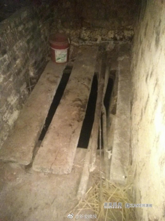 爽快的競速 經(jīng)典續(xù)作《閃電飛船2S》上架