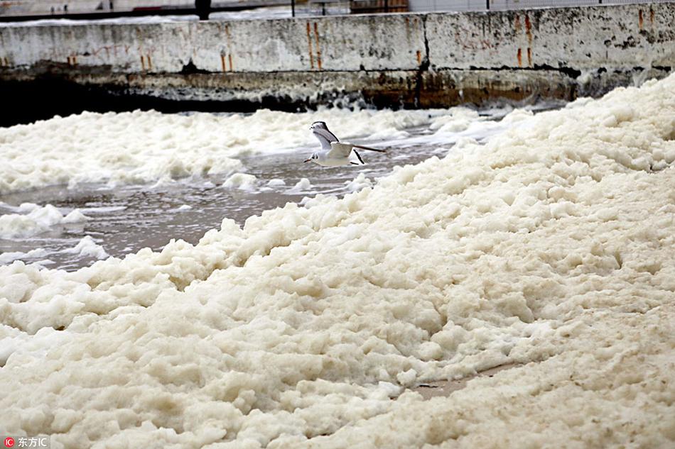 絕美畫風 《偷星九月天》夢幻組合強勢出擊