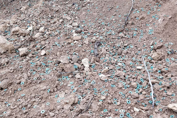 什么是網(wǎng)卡芯片