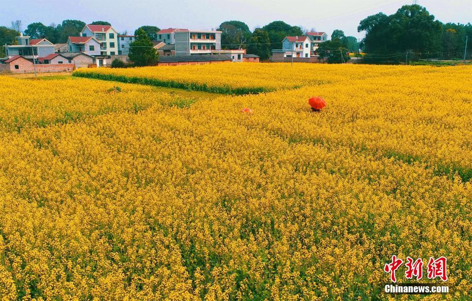 哈維：布斯克茨會確認(rèn)未來的人生，首要取決于他自己