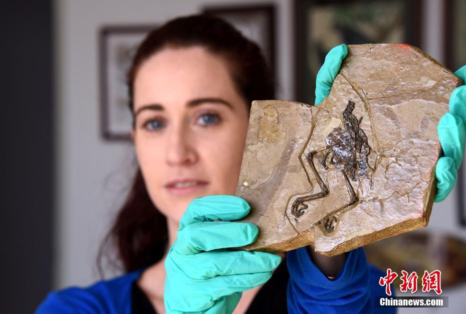 斯波：巴特勒一直在帶動隊友