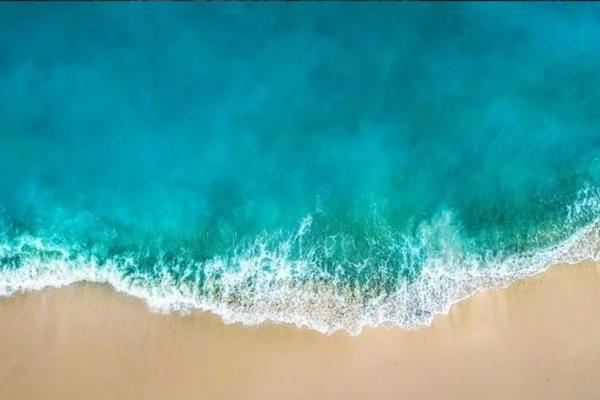 從病人中找出犯人《Doctor Dekker》公開