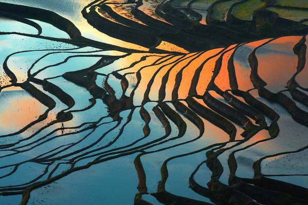 懷斯曼：我不應(yīng)該錯(cuò)過(guò)球隊(duì)的訓(xùn)練