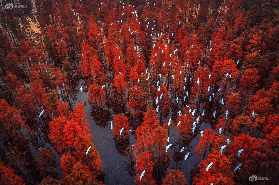 MVBOX怎么錄音錄像？