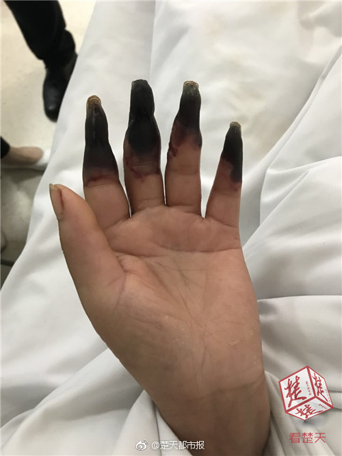 金壯龍會(huì)見(jiàn)沙特工業(yè)和礦產(chǎn)資源部部長(zhǎng)班達(dá)爾·胡萊夫