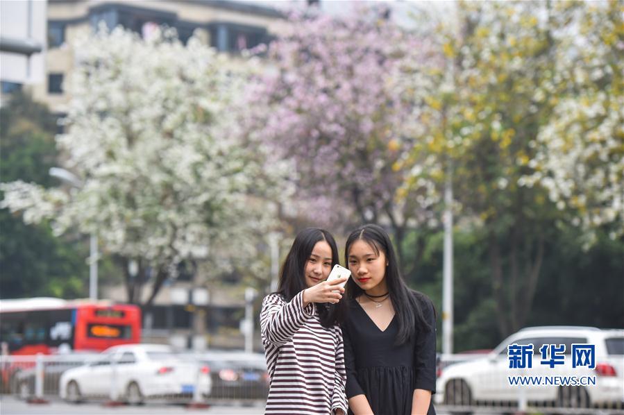 《輻射：避難所Online》再獲蘋果商鋪引薦，廢土探險(xiǎn)燃爆今夏！[視頻][多圖]