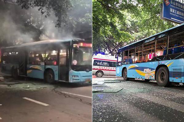 2022年7月12日螞蟻莊園答案 在野外看到桑葚形狀的小野果能摘下來(lái)吃嗎？