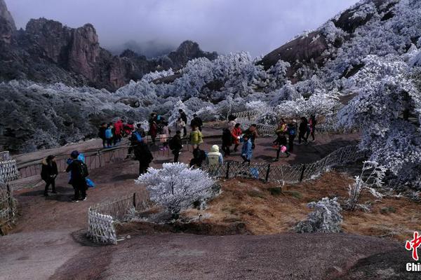 瑞星要開“網(wǎng)上博覽會(huì)” 發(fā)布網(wǎng)絡(luò)反病毒全攻略