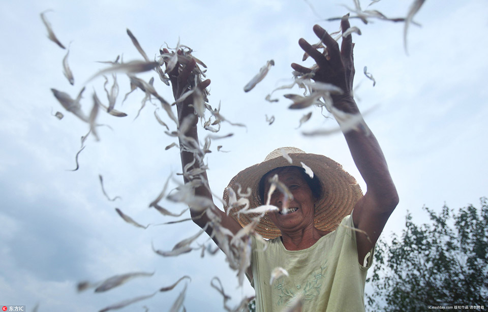 手機(jī)天堂巴比倫安卓游戲引薦 漢化版別游戲
