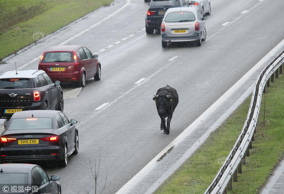 扇貝閱讀app官方版V4.4.1503安卓版 教育學(xué)習(xí)