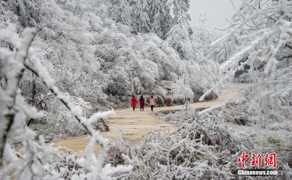 高效砍分！羅斯半場(chǎng)砍下19分7助攻