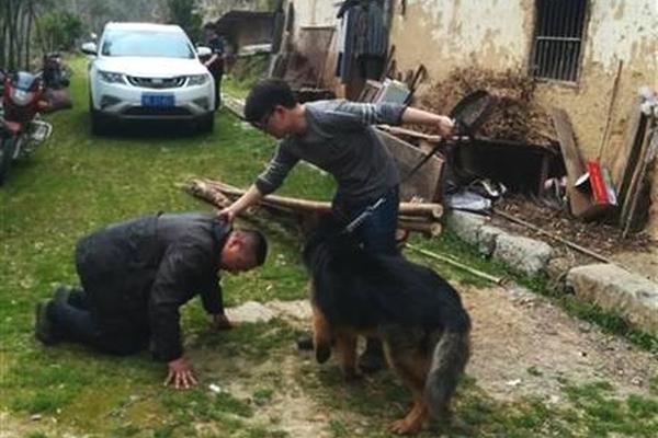 配備二合一尖端火龍?zhí)讉髌婧霞] 尖端傳奇火龍